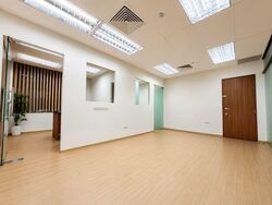 Peninsula Shopping Complex (D6), Office #567429451